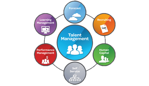 talent management