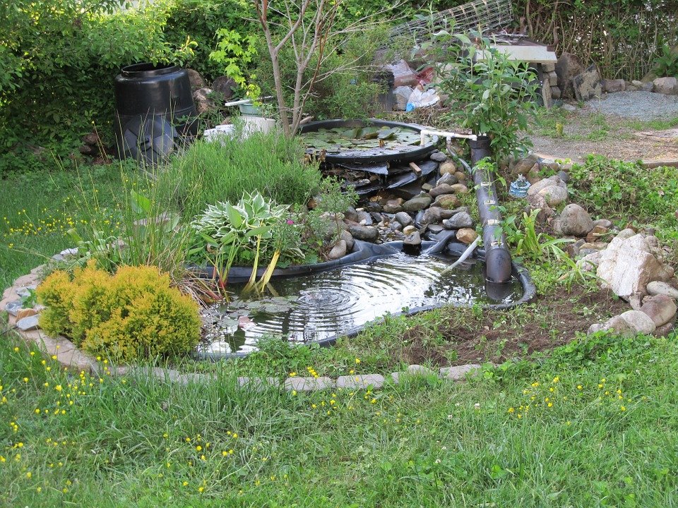 backyard artificial pond