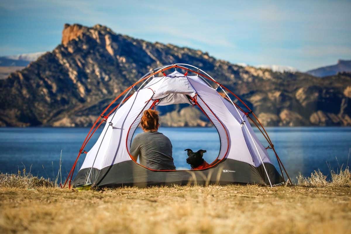 camping trip with your pet