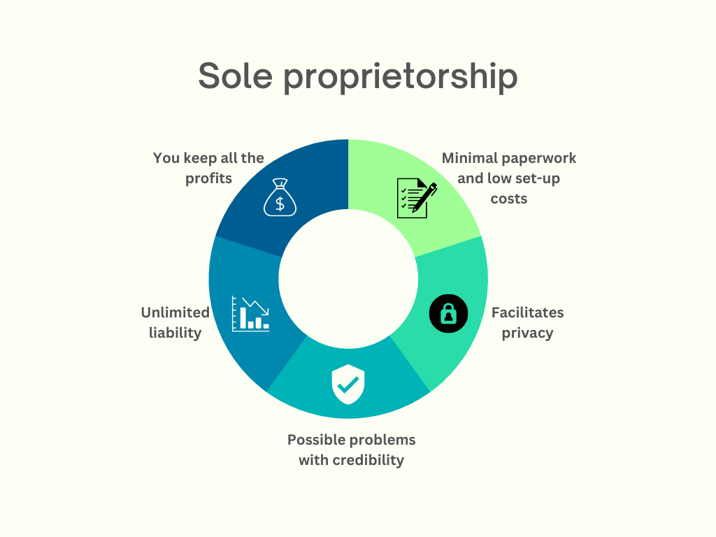 Sole proprietorship - Type of Business Organization