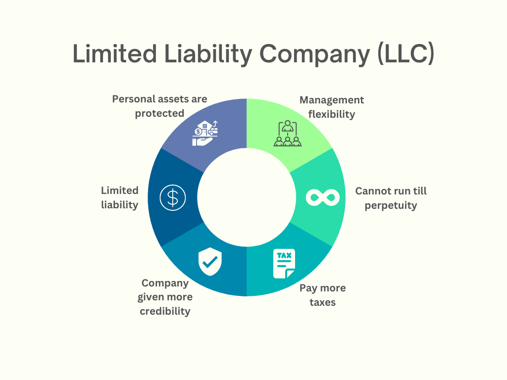 LLC -Types of Business Organizations