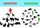 difference between the egosystem and the ecosystem