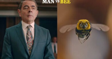 Man vs Bee review