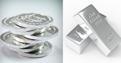 Why Should You Invest in Silver