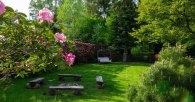tips to make your garden Practical and Beautiful