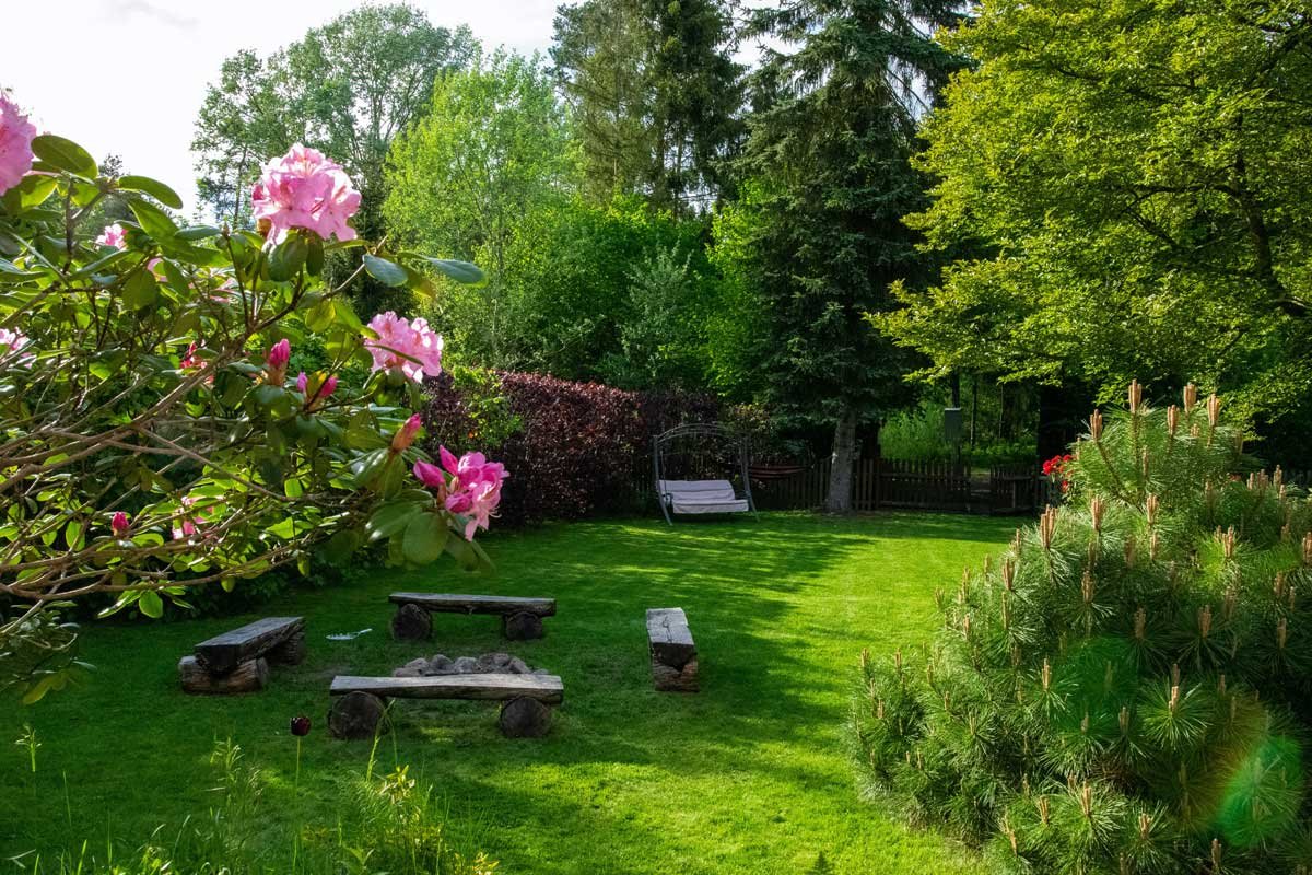 tips to make your garden Practical and Beautiful