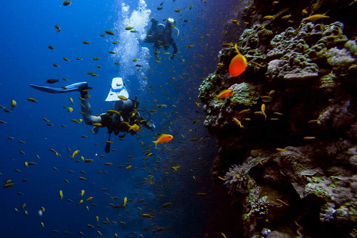 Best Dive Spots Around Perth