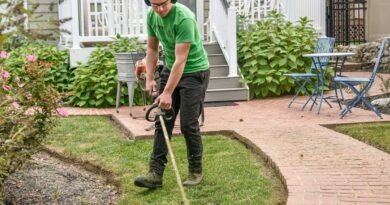 how to maintain a lawn